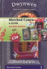 Image for Cyfres Merched Cymru: Pecyn 6 Llyfr