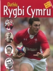 Image for Hwyl Gwyl: Dathlu Rygbi Cymru