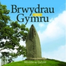 Image for Cyfres Celc Cymru: Brwydrau dros Gymru
