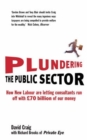 Image for Plundering the Public Sector