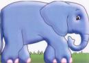 Image for Elephant : Chunky Animals