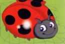 Image for Ladybird : Chunky Animals