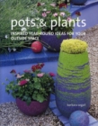 Image for Pots &amp; plants  : inspired year-round ideas for your outside space