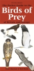 Image for The pocket guide to the birds of prey of Britain and Europe