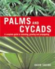Image for Palms and cycads