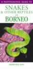 Image for A photographic guide to snakes and other reptiles of Borneo