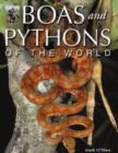 Image for Boas and pythons of the world