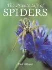 Image for Private Life of Spiders
