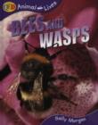 Image for Bees and Wasps