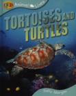 Image for Tortoises and Turtles