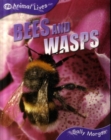 Image for Bees and Wasps