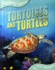 Image for Tortoises and Turtles
