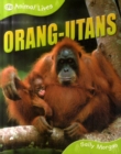 Image for Orang-utans