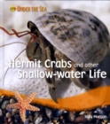 Image for Hermit Crabs and Other Shallow-water Life