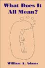 Image for What does it all mean?: a humanistic account of human experience