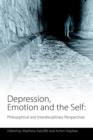 Image for Depression, emotion and the self: philosophical and interdisciplinary perspectives