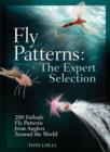 Image for Fly Patterns