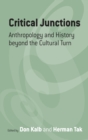 Image for Critical junctions in anthropology and history  : pathways beyond the cultural turn