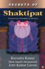 Image for Secrets of Shaktipat : Awakening of Kundalini by the Guru