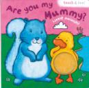 Image for Little Duck: Are You My Mummy?