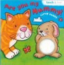 Image for Little Bunny: Are You My Mummy?