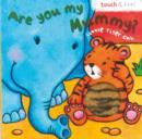 Image for Little Tiger: Are You My Mummy?