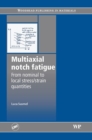 Image for Multiaxial notch fatigue: from nominal to local stress/strain quantities