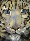 Image for SNOW LEOPARD SIGNED EDITION