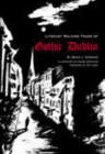 Image for A Literary History of Gothic Dublin