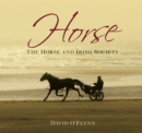 Image for Horse : The Horse and Irish Society