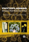 Image for Phytoplasmas