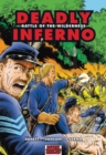 Image for Deadly inferno  : battle of the wilderness
