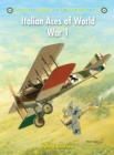 Image for Italian Aces of World War 1