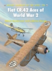 Image for Fiat CR.42 Aces of World War 2