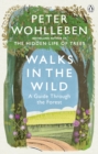 Image for Walks in the wild  : a guide through the forest
