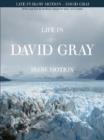 Image for David Gray : Life in Slow Motion