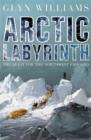Image for Arctic labyrinth  : the quest for the Northwest Passage