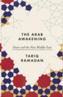 Image for Arab Awakening: Islam and the new Middle East