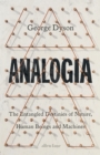 Image for Analogia