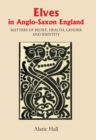 Image for Elves in Anglo-Saxon England: matters of belief, health, gender and identity