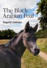 Image for The Black Arabian Foal