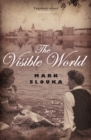 Image for The visible world