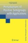 Image for Perturbations of positive semigroups with applications