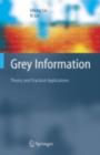Image for Grey information: theory and practical applications