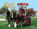 Image for HEAVY HORSES