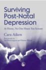 Image for Surviving post-natal depression: at home, no one hears you scream