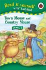 Image for Town Mouse and Country Mouse