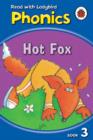 Image for Hot Fox