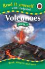 Image for Read it Yourself Level 2: Volcanoes