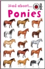 Image for Mad About Ponies